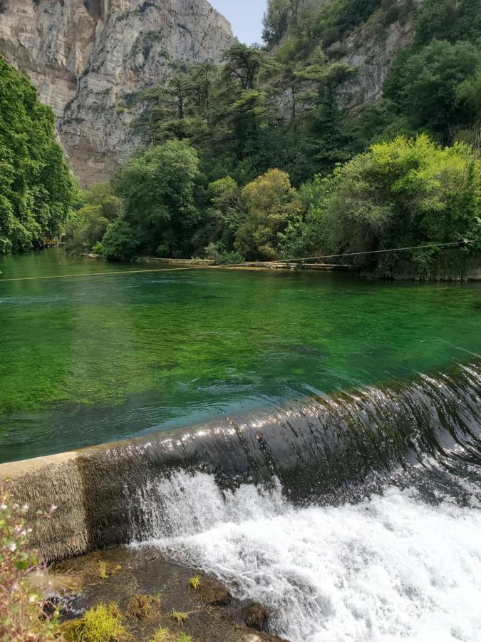 La Fontaine Au Loup Hotel Saint-Maurice-sur-Eygues Ngoại thất bức ảnh